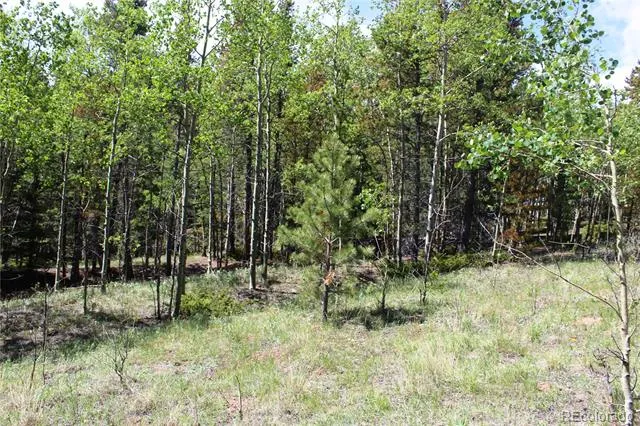 6050 Virginia Canyon Road Central City, CO 80427