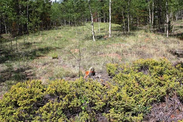 6050 Virginia Canyon Road Central City, CO 80427