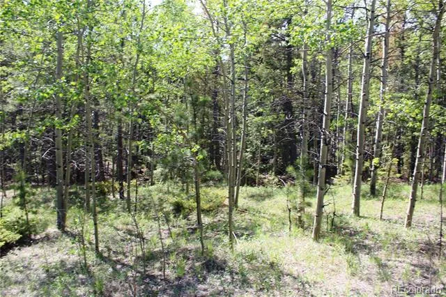 6050 Virginia Canyon Road Central City, CO 80427