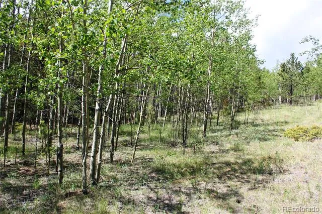 6050 Virginia Canyon Road Central City, CO 80427