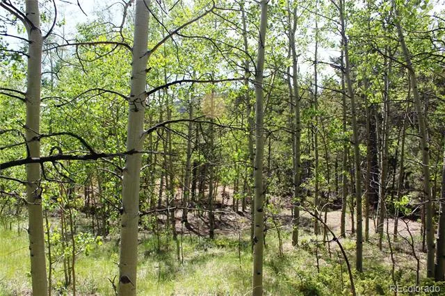 6050 Virginia Canyon Road Central City, CO 80427