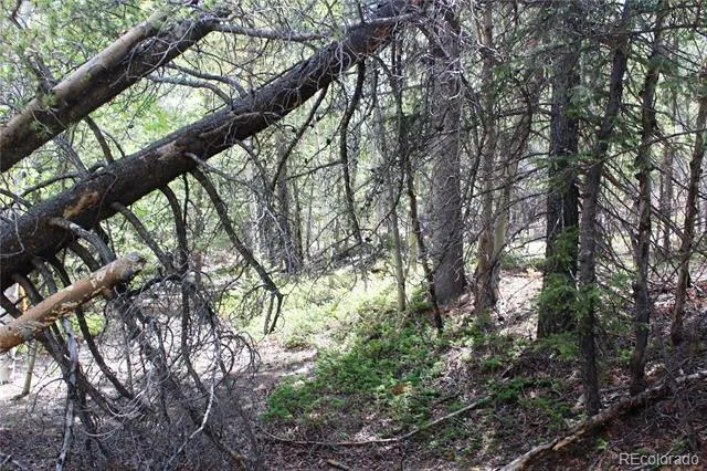 6050 Virginia Canyon Road Central City, CO 80427