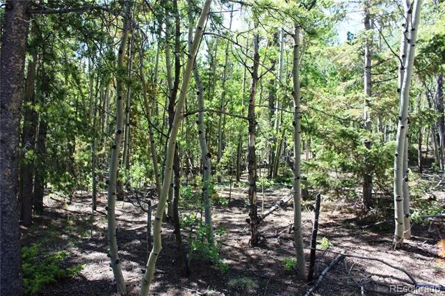 6050 Virginia Canyon Road Central City, CO 80427