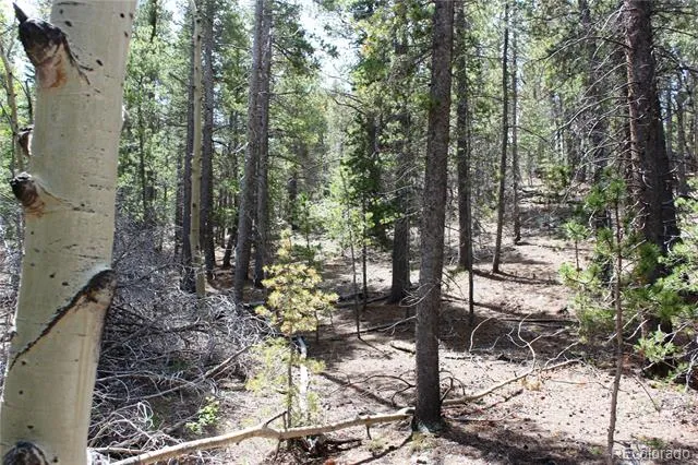 6050 Virginia Canyon Road Central City, CO 80427