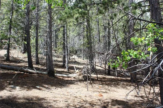 6050 Virginia Canyon Road Central City, CO 80427