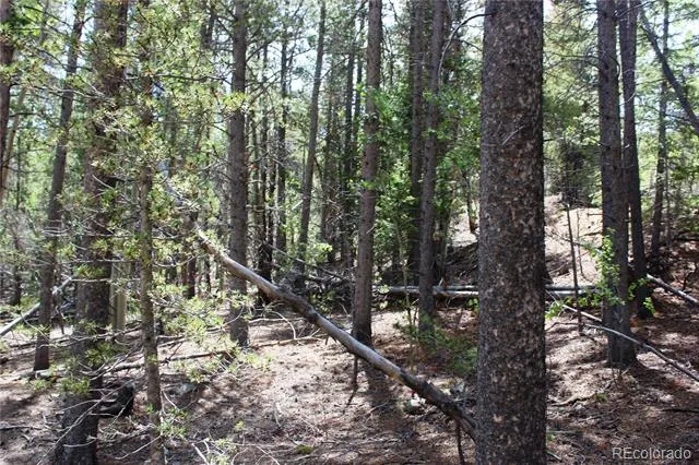 6050 Virginia Canyon Road Central City, CO 80427