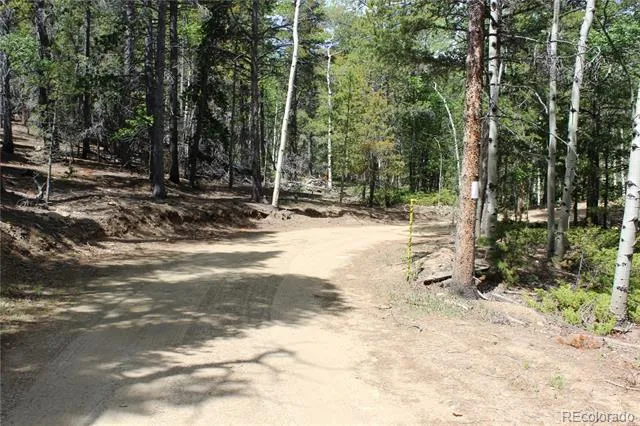 6050 Virginia Canyon Road Central City, CO 80427