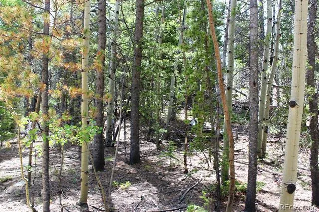 6050 Virginia Canyon Road Central City, CO 80427