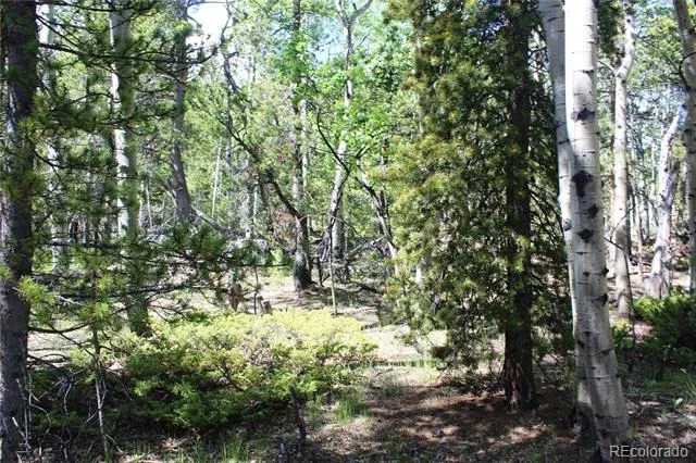 6050 Virginia Canyon Road Central City, CO 80427