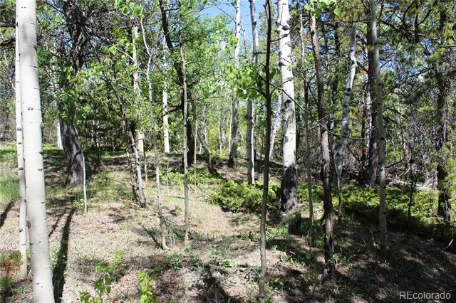 6050 Virginia Canyon Road Central City, CO 80427