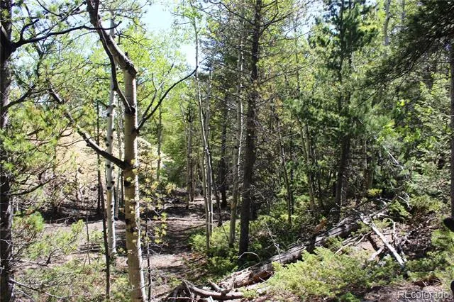 6050 Virginia Canyon Road Central City, CO 80427