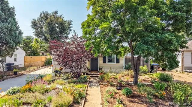 6840 Reno Drive Arvada, CO 80002