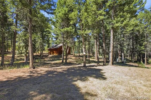 8818 Blue Creek Road Evergreen, CO 80439