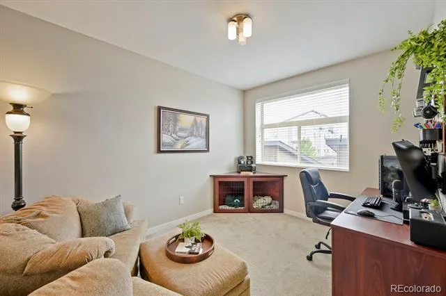 10064 Belvedere Circle Lone Tree, CO 80124