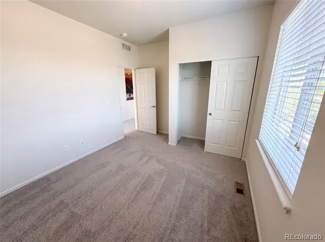 4219 Dunsinane Way Castle Rock, CO 80104