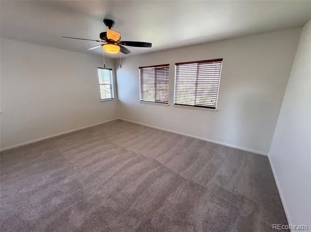 4219 Dunsinane Way Castle Rock, CO 80104
