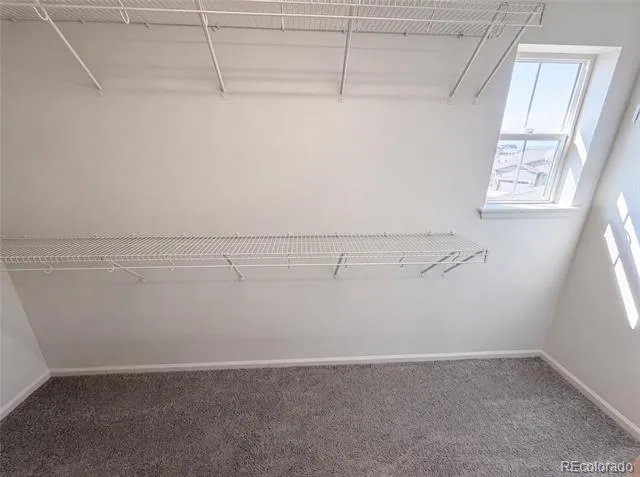 4219 Dunsinane Way Castle Rock, CO 80104