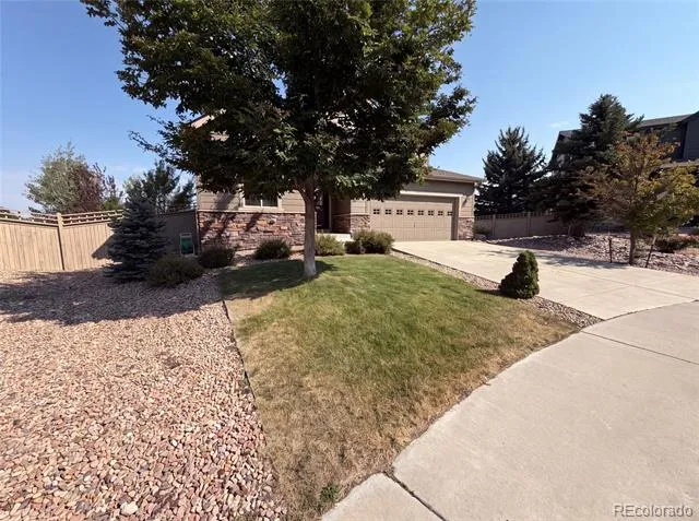 4219 Dunsinane Way Castle Rock, CO 80104