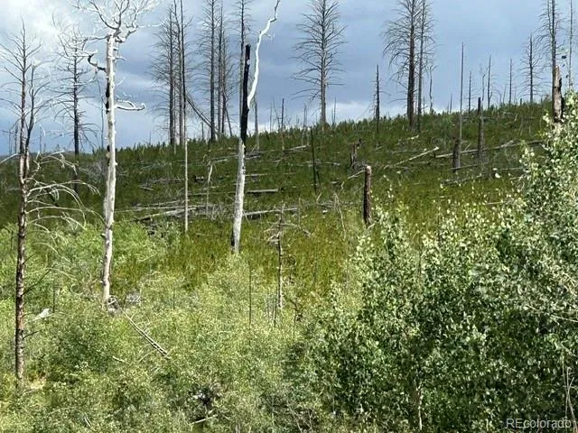 Block One (1), Lot Seventeen (17), Paradise Acres La Veta, CO 81055