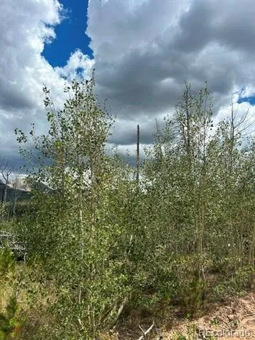 Block One (1), Lot Eighteen (18), Paradise Acres S La Veta, CO 81055