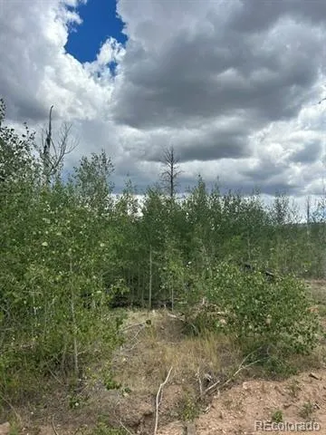 Block One (1), Lot Eighteen (18), Paradise Acres S La Veta, CO 81055