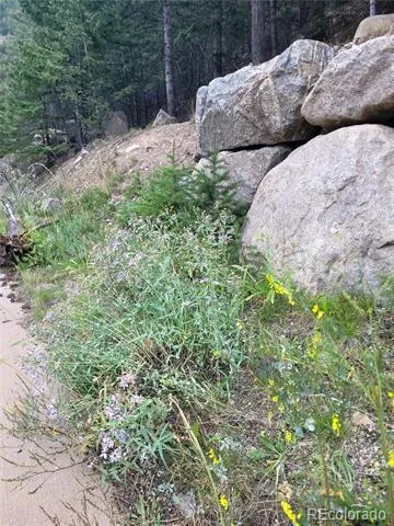 00 Guanella Pass Road Georgetown, CO 80444