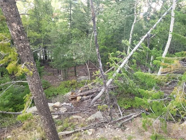 00 Guanella Pass Road Georgetown, CO 80444