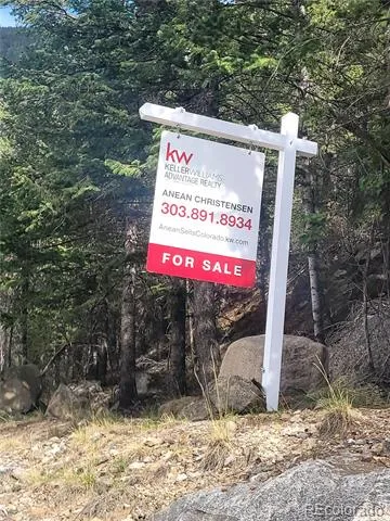 00 Guanella Pass Road Georgetown, CO 80444