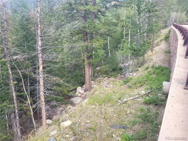 00 Guanella Pass Road Georgetown, CO 80444