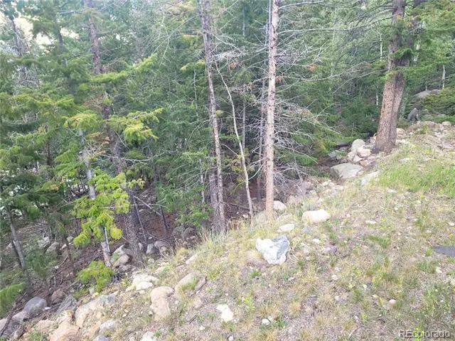 00 Guanella Pass Road Georgetown, CO 80444