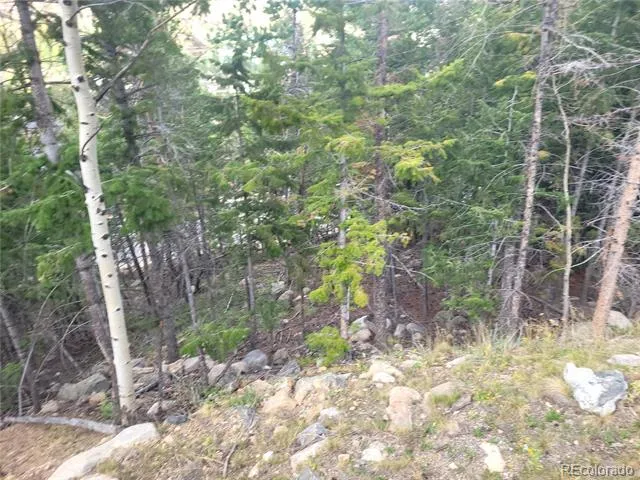 00 Guanella Pass Road Georgetown, CO 80444