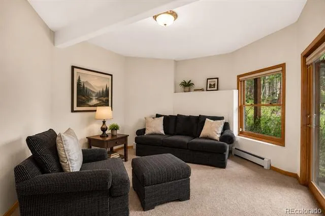 13338 Elsie Road Conifer, CO 80433