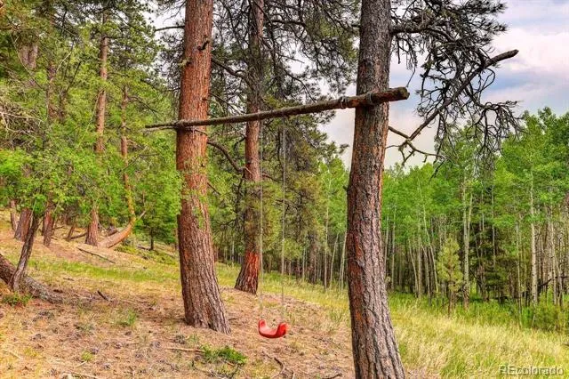 13338 Elsie Road Conifer, CO 80433
