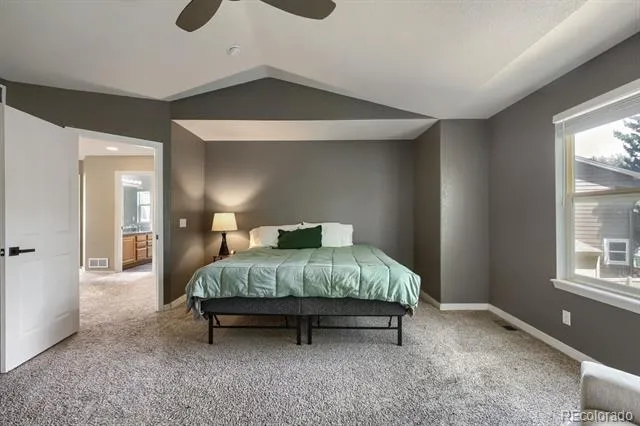 4672 Charing Court Castle Rock, CO 80109