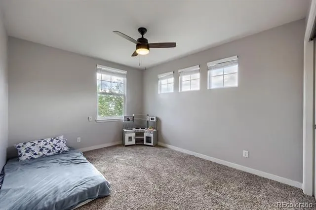 4672 Charing Court Castle Rock, CO 80109