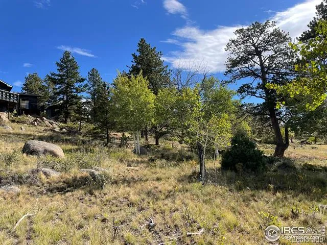 123 Tahlequah Way Red Feather Lakes, CO 80545