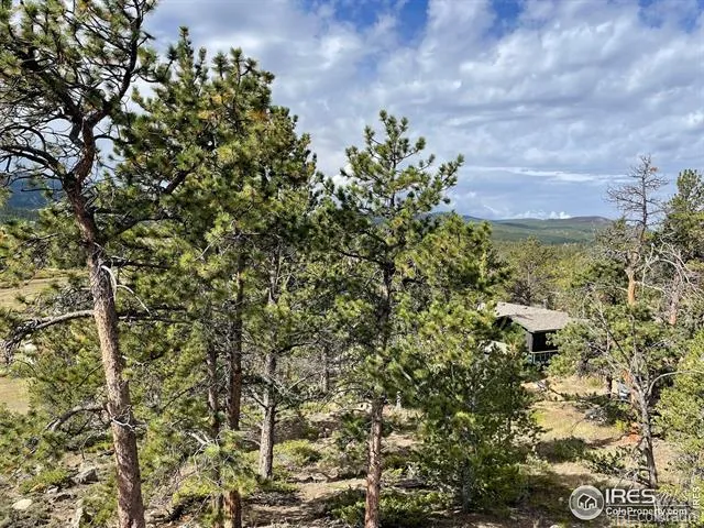 123 Tahlequah Way Red Feather Lakes, CO 80545