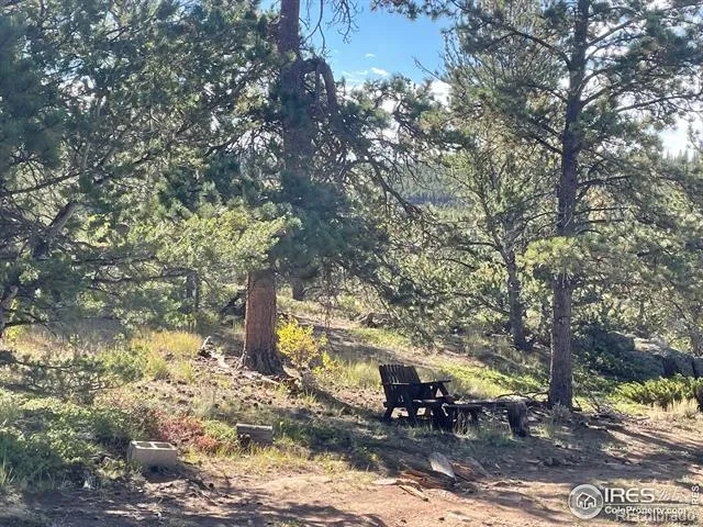 123 Tahlequah Way Red Feather Lakes, CO 80545