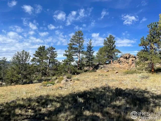 123 Tahlequah Way Red Feather Lakes, CO 80545