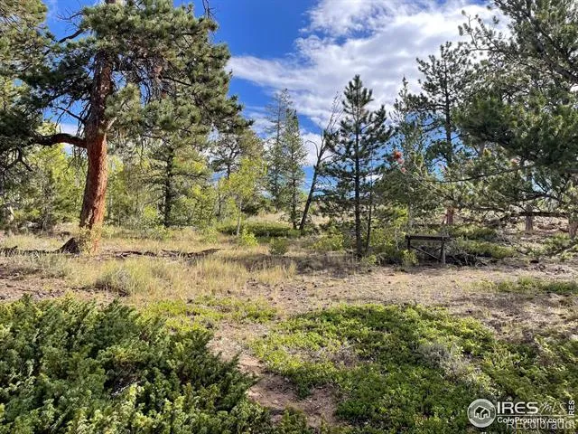 123 Tahlequah Way Red Feather Lakes, CO 80545