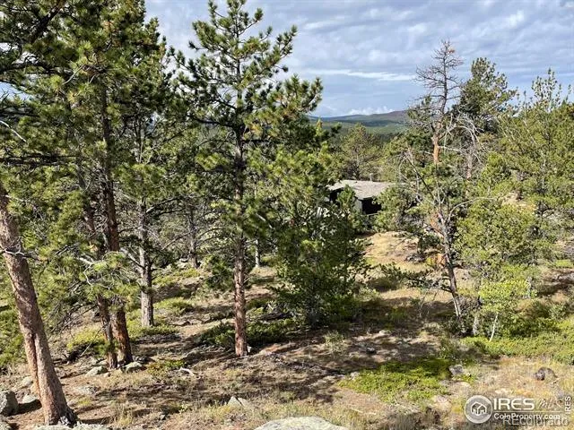 123 Tahlequah Way Red Feather Lakes, CO 80545