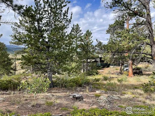 123 Tahlequah Way Red Feather Lakes, CO 80545