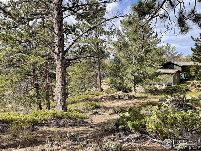 123 Tahlequah Way Red Feather Lakes, CO 80545