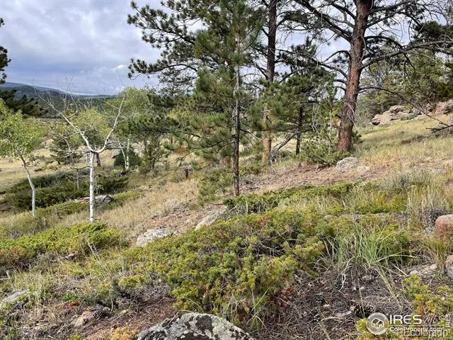 123 Tahlequah Way Red Feather Lakes, CO 80545