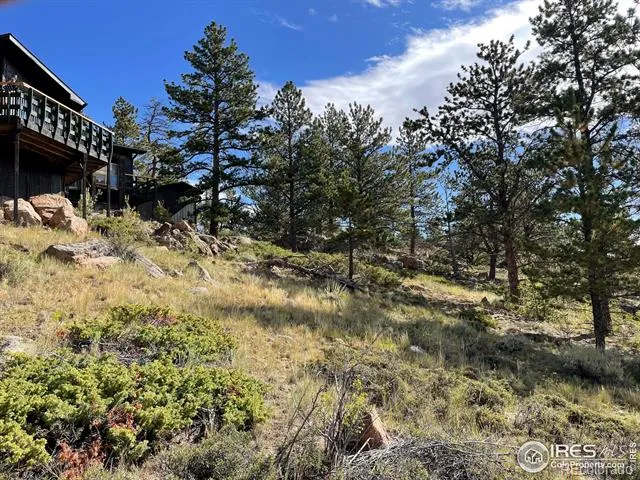 123 Tahlequah Way Red Feather Lakes, CO 80545