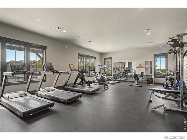 6242 Vernazza Way #4 Windsor, CO 80550