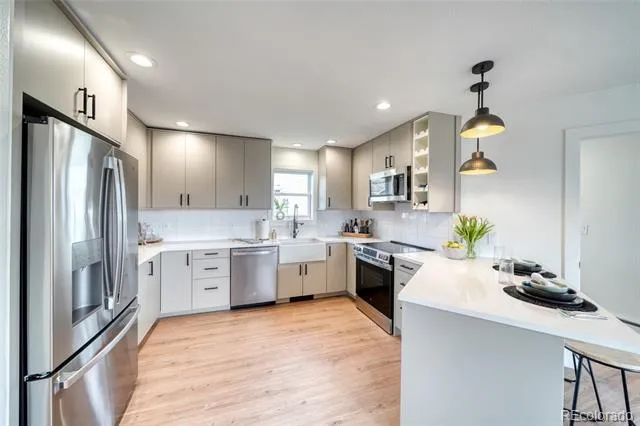 172 Brooklyn Circle Leadville, CO 80461
