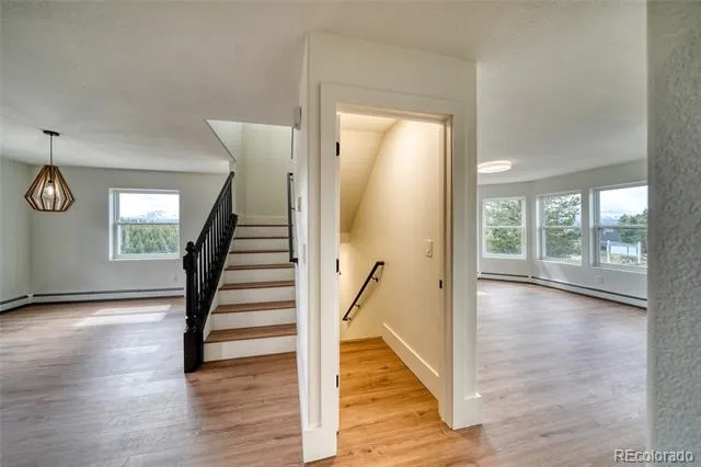 172 Brooklyn Circle Leadville, CO 80461