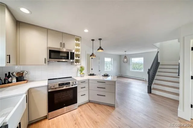 172 Brooklyn Circle Leadville, CO 80461