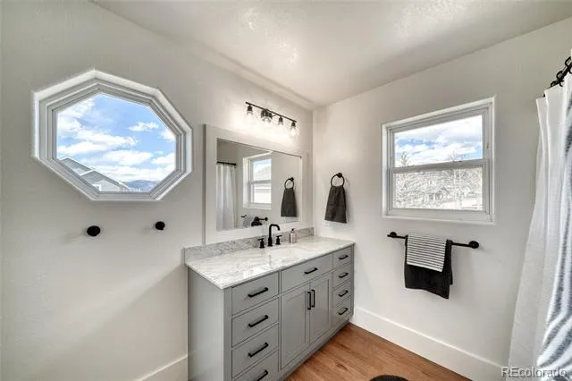 172 Brooklyn Circle Leadville, CO 80461